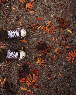 Low section of man standing by leaves on ground