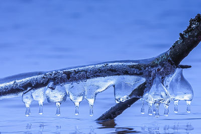 Close-up of icicles in snow