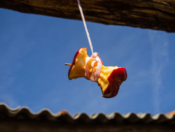 Close-up of crab hanging on leaf against sky