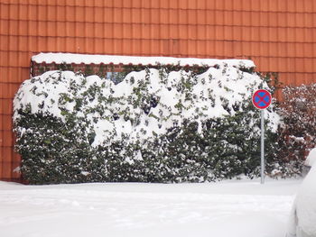 Snow covered plants by house on field during winter