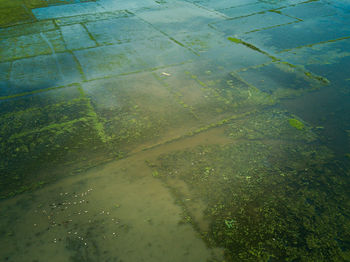 High angle view of water on land