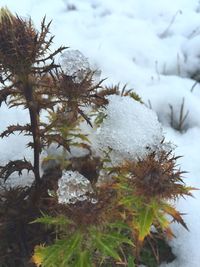 Scenic view of snow covered landscape