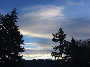 Low angle view of silhouette trees against sky during sunset