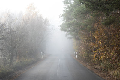 Road amidst trees in forest during autumn