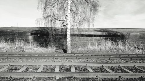 Railroad tracks by bare trees against sky