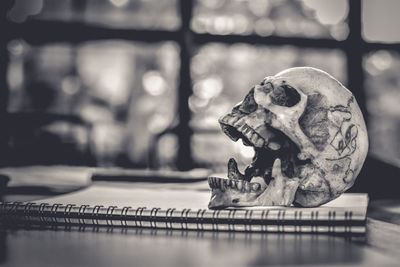 Close-up of human skull with spiral notebook on table