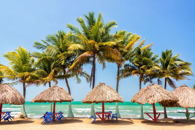 Thatched roof parasols by palm trees at beach against clear sky