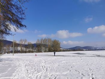 Trees on snow covered field against sky