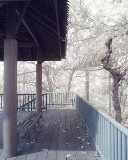 Footbridge along trees