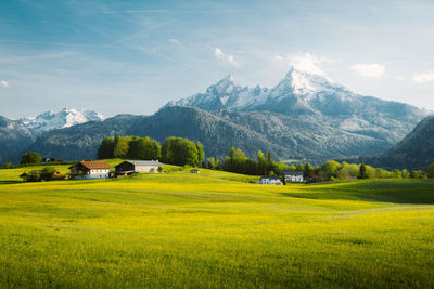 Scenic view of field by mountains against sky