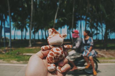 Cropped hand holding stuffed toy against trees