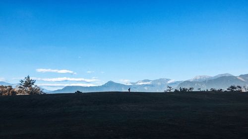 Scenic view of field against clear blue sky