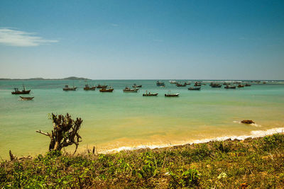 Scenic view of sea against clear blue sky
