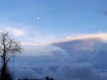 Low angle view of moon in sky