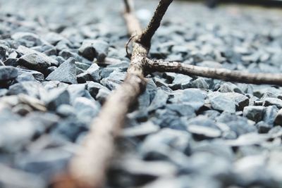 Close-up of stones on ground