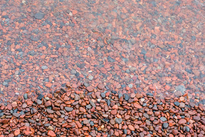 High angle view of stones on beach