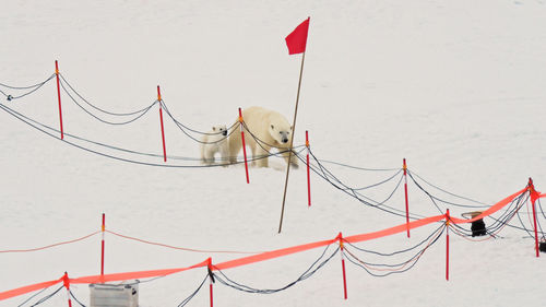 High angle view of snow on field