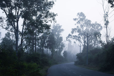 Road by trees against sky