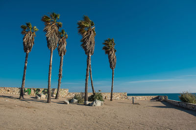 Low angle view of beach against clear sky