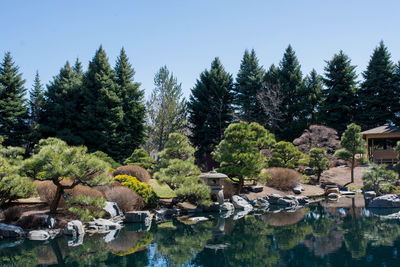 Reflection of trees in water against clear sky