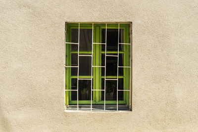 Close-up of window