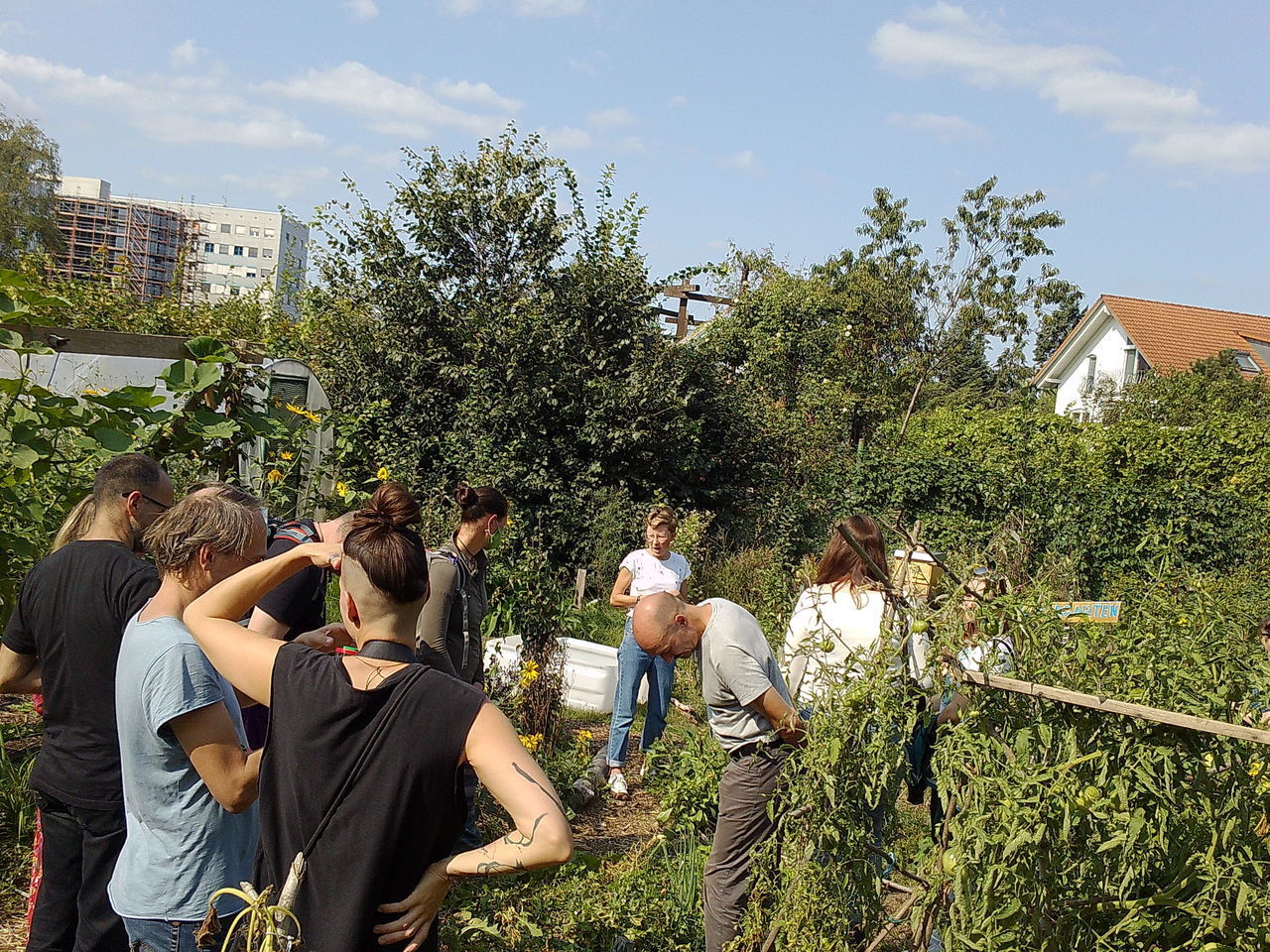 GROUP OF PEOPLE AGAINST PLANTS AND TREES