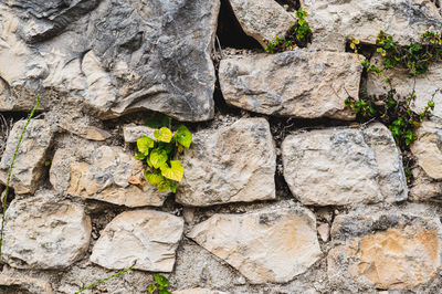 stone wall