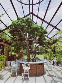 Table and chairs by trees against sky