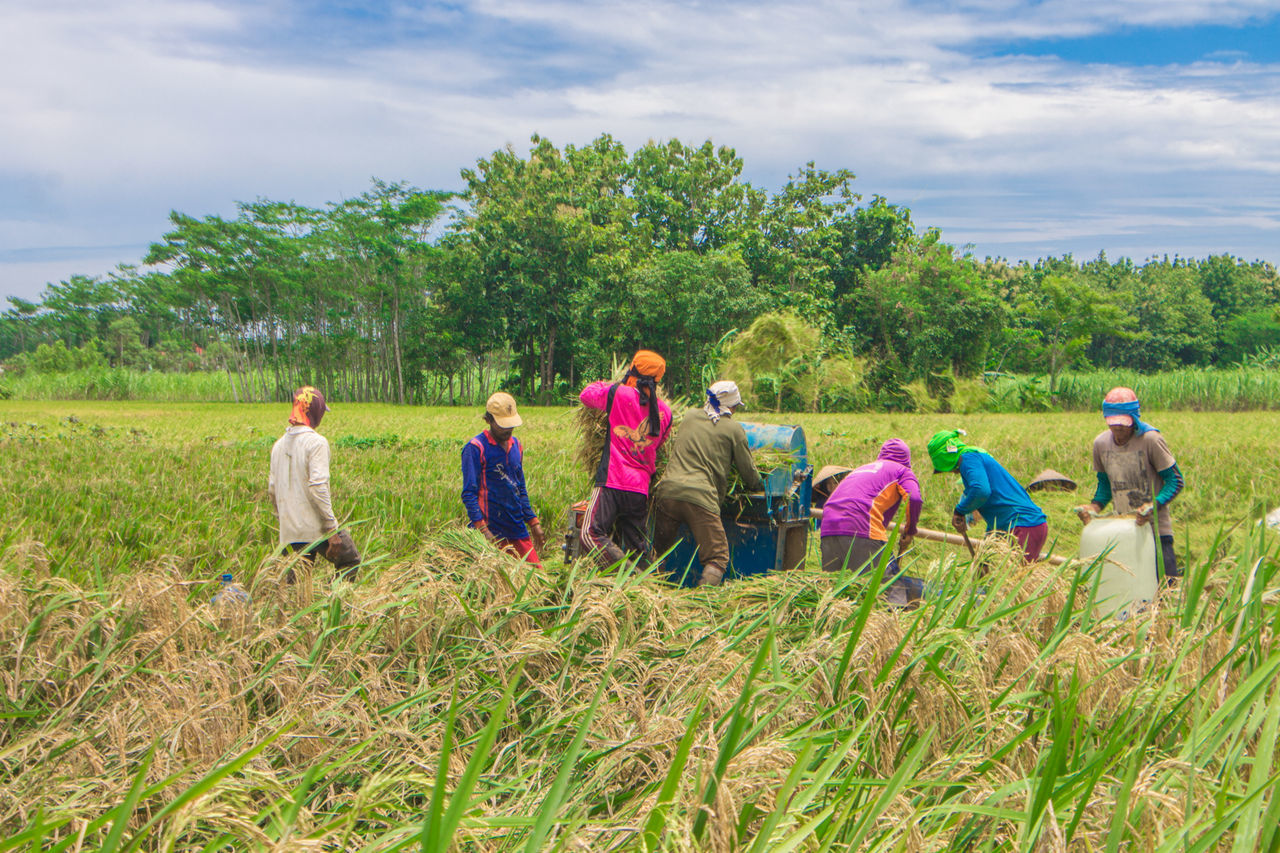 plant, land, group of people, cloud - sky, field, real people, nature, sky, tree, environment, day, men, grass, women, adult, growth, landscape, people, lifestyles, sitting, outdoors