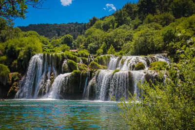 Scenic view of waterfall in forest