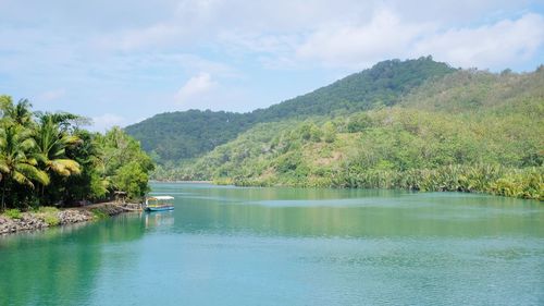 Scenic view of lake by trees against sky