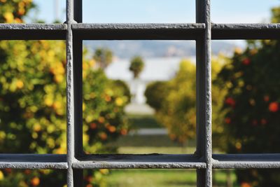 Close-up of metal fence