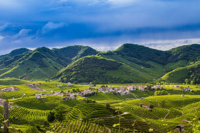 Scenic view of agricultural field against sky