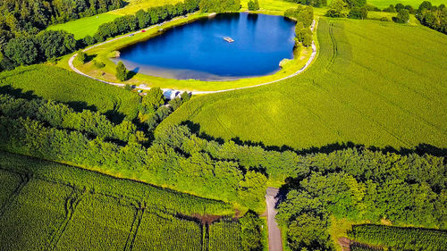 High angle view of agricultural field in forest