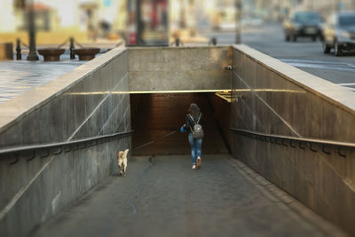 Rear view of woman with dog walking into subway