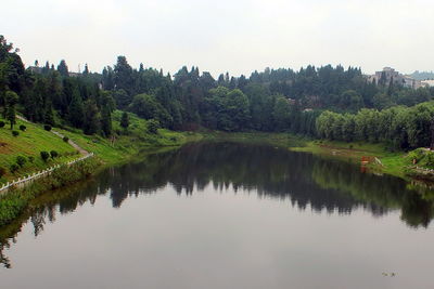 Reflection of trees in lake