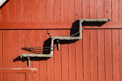 View of a horse on wall