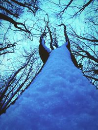 Low angle view of bare tree against blue sky