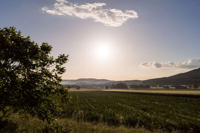 Scenic view of field against sky