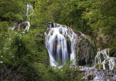 Scenic view of waterfall in forest