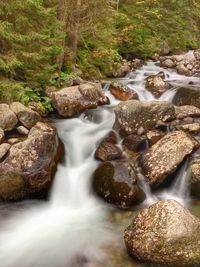 Scenic view of waterfall in forest
