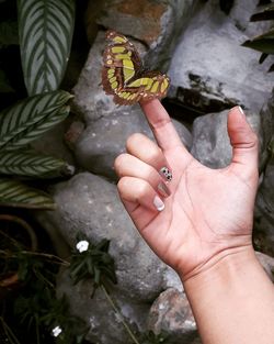 Close-up of hand holding rock