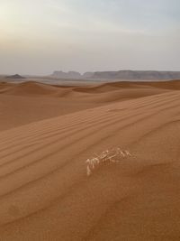 Sand dune in desert against sky