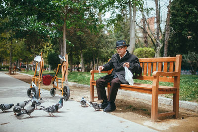 Full body of aged male in hat feeding birds while sitting on wooden bench in park with tall green trees