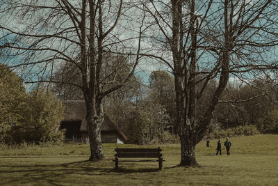 Empty bench in park