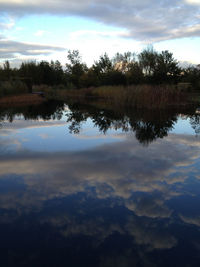 Reflection of trees in calm lake