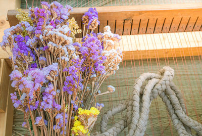 Close-up of purple flowering plant