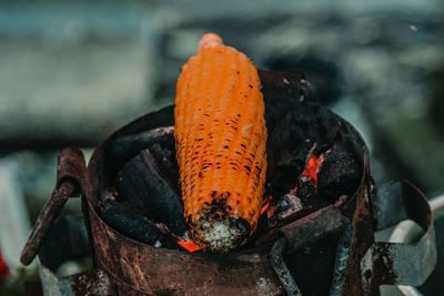 Close-up of crab on barbecue grill