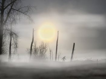 Bare trees on field against sky during sunset