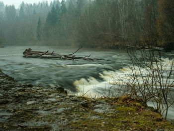 water